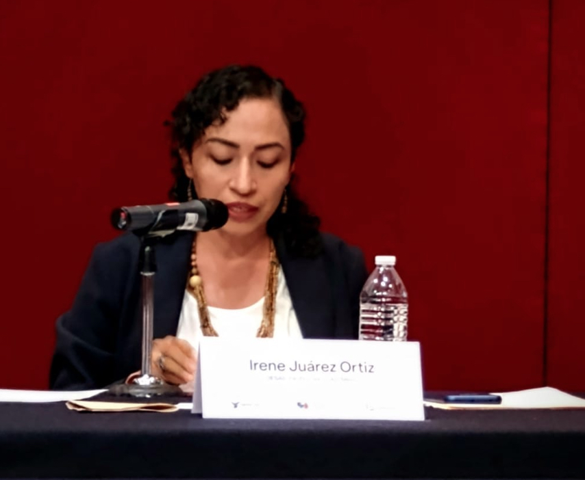 Investigación contra la violencia de género